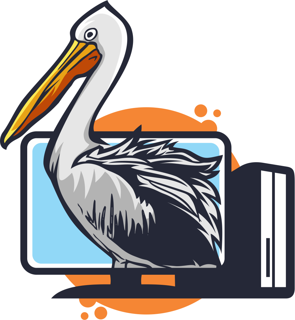 Pelican in front of a computer